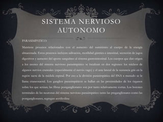 SISTEMA NERVIOSO
AUTONOMO
PARASIMPATICO:
Mantiene procesos relacionados con el aumento del suministro al cuerpo de la energía
almacenada. Estos procesos incluyen salivación, motilidad gástrica e intestinal, secreción de jugos
digestivos y aumento del aporte sanguíneo al sistema gastrointestinal. Los cuerpos que dan origen
a los axones del sistema nervioso parasimpático se localizan en dos regiones: los núcleos de
algunos nervios craneales (especialmente el nervio vago) y el asta lateral de la sustancia gris en la
región sacra de la médula espinal. Por eso a la división parasimpática del SNA a menudo se le
llama craneosacral. Los ganglios parasimpáticos se hallan en las proximidades de los órganos
sobre los que actúan; las fibras postganglionares son por tanto relativamente cortas. Los botones
terminales de las neuronas del sistema nervioso parasimpático tanto las preganglionares como las
postganglionares, segregan acetilcolina
 