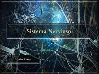 Sistema Nervioso
Cristian Ramos
 