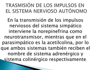 En la transmisión de los impulsos
nerviosos del sistema simpático
interviene la norepinefrina como
neurotransmisor, mientras que en el
parasimpático es la acetilcolina, por lo
que ambos sistemas también reciben el
nombre de sistema adrenérgico y
sistema colinérgico respectivamente.
 