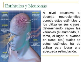 Sistema nervioso y aprendizaje - Fisiología del aprendizaje