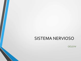 SISTEMA NERVIOSO
CICLO IV
 