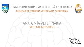 UNIVERSIDAD AUTÓNOMA BENITO JUÁREZ DE OAXACA
FACULTAD DE MEDICINA VETERINARIA Y ZOOTECNIA
ANATOMÍA VETERINARIA
SISTEMA NERVIOSO
 