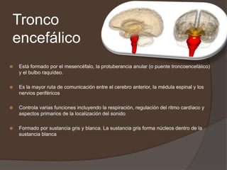 Tronco
encefálico
 Está formado por el mesencéfalo, la protuberancia anular (o puente troncoencefálico)
y el bulbo raquídeo.
 Es la mayor ruta de comunicación entre el cerebro anterior, la médula espinal y los
nervios periféricos
 Controla varias funciones incluyendo la respiración, regulación del ritmo cardíaco y
aspectos primarios de la localización del sonido
 Formado por sustancia gris y blanca. La sustancia gris forma núcleos dentro de la
sustancia blanca
 