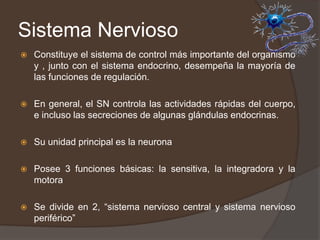 Sistema Nervioso
 Constituye el sistema de control más importante del organismo
y , junto con el sistema endocrino, desempeña la mayoría de
las funciones de regulación.
 En general, el SN controla las actividades rápidas del cuerpo,
e incluso las secreciones de algunas glándulas endocrinas.
 Su unidad principal es la neurona
 Posee 3 funciones básicas: la sensitiva, la integradora y la
motora
 Se divide en 2, “sistema nervioso central y sistema nervioso
periférico”
 