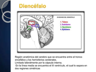 Región anatómica del cerebro que se encuentra entre el tronco
encefálico y los hemisferios cerebrales.
Limitado lateralmente por la cápsula interna.
En la línea media se encuentra el III ventrículo, el cual lo separa en
dos regiones simétricas
 
