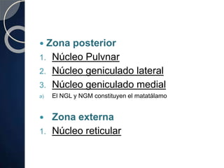  Zona posterior
1. Núcleo Pulvnar
2. Núcleo geniculado lateral
3. Núcleo geniculado medial
a) El NGL y NGM constituyen el matatálamo
 Zona externa
1. Núcleo reticular
 