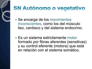  Se encarga de los movimientos
inconscientes, como los del músculo
liso, cardiaco y del sistema endocrino.
 Es un sistema estrictamente motor
formado por fibras aferentes (sensitivas)
y su control eferente (motora) que está
en relación con el sistema somático.
 