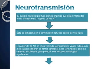 El cuerpo neuronal produce ciertas enzimas que están implicadas
en la síntesis de la mayoría de los NT
Éste se almacena en la terminación nerviosa dentro de vesículas
El contenido de NT en cada vesícula (generalmente varios millares de
moléculas) se liberan de forma constante en la terminación, pero en
cantidad insuficiente para producir una respuesta fisiológica
significativa
 