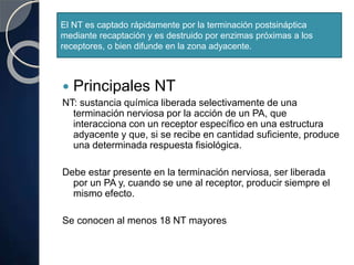 El NT es captado rápidamente por la terminación postsináptica
mediante recaptación y es destruido por enzimas próximas a los
receptores, o bien difunde en la zona adyacente.
 Principales NT
NT: sustancia química liberada selectivamente de una
terminación nerviosa por la acción de un PA, que
interacciona con un receptor específico en una estructura
adyacente y que, si se recibe en cantidad suficiente, produce
una determinada respuesta fisiológica.
Debe estar presente en la terminación nerviosa, ser liberada
por un PA y, cuando se une al receptor, producir siempre el
mismo efecto.
Se conocen al menos 18 NT mayores
 