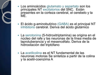 Los aminoácidos glutamato y aspartato son los
principales NT excitatorios del SNC. Están
presentes en la corteza cerebral, el cerebelo y la
ME.
 El ácido g-aminobutírico (GABA) es el principal NT
inhibitorio cerebral. Deriva del ácido glutámico
 La serotonina (5-hidroxitriptamina) se origina en el
núcleo del rafe y las neuronas de la línea media de
laprotuberancia y el mesencéfalo. Deriva de la
hidroxilación del triptófano
 La acetilcolina es el NT fundamental de las
neuronas motoras Se sintetiza a partir de la colina
y la acetil-coenzima A
 