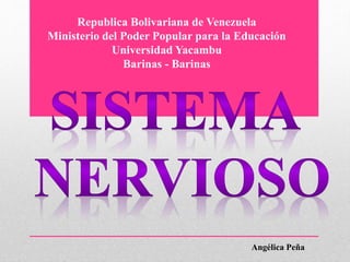 Republica Bolivariana de Venezuela
Ministerio del Poder Popular para la Educación
Universidad Yacambu
Barinas - Barinas
Angélica Peña
 