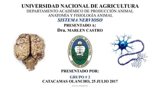 UNIVERSIDAD NACIONAL DE AGRICULTURA
DEPARTAMENTO ACADÉMICO DE PRODUCCIÓN ANIMAL
ANATOMÍA Y FISIOLOGÍA ANIMAL
SISTEMA NERVIOSO
PRESENTADO A:
Dra. MARLEN CASTRO
PRESENTADO POR:
GRUPO # 2
CATACAMAS OLANCHO, 25 JULIO 2017
DELCID GRANADOS
 