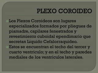 Los Plexos Coroideos son lugares
especializados formados por pliegues de
piamadre, capilares fenestrados y
revestimiento cuboidal ependimario que
secretan Liquido Cefalorraquideo.
Estos se encuentran el techo del tercer y
cuarto ventriculo; y en el techo y paredes
mediales de los ventriculos laterales.
 