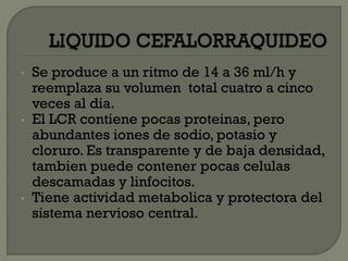 • Se produce a un ritmo de 14 a 36 ml/h y
reemplaza su volumen total cuatro a cinco
veces al dia.
• El LCR contiene pocas proteinas, pero
abundantes iones de sodio, potasio y
cloruro. Es transparente y de baja densidad,
tambien puede contener pocas celulas
descamadas y linfocitos.
• Tiene actividad metabolica y protectora del
sistema nervioso central.
 