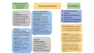NEUROTRANSMISORES
Neurotransmisores
de moléculas
pequeñas.
Neuropéptidos
 Unidos por enlaces
pépticos
 Acciones inhibidores y
excitadoras
 Se forman en el cuerpo
celular de la neurona
Clase I
Acetilcolina: Conduce
los impulsos eléctricos entre
células nerviosas a través de
la sinapsis. Y desde las
células nerviosas hasta
los músculos causando su
contracción.
Clase III
(AMINOÁCIDOS)
Ácido aminobutírico (GABA):se
encuentra limitado al SNC, donde
es el neurotransmisor inhibitorio
más común.
Glicina: la sinapsis inhibitorias
entre esas células y las neuronas
motoras somáticas.
Glutamato: tienen efectos
exictatorios potentes, casi todas
las neuronas del SNC.
Aspartato: La remoción del
glutamato tiene a través de la
recaptación.
Clase IV
Oxido nítrico:
favorece la erección, y
como suplemento se
consume en los circuitos
del entrenamiento
deportivo y la musculación.
Clase II (AMINAS)
Noradrenalina: tiene funciones
de neurotransmisor,
neuromodulador y hormona. la
regulación del estado de ánimo.
Adrenalina: importante en el
despertar (después de un sueño
profundo), en la actividad onírica.
Dopamina: son activadas durante
respuestas emocionales, los
comportamientos adictivos y las
experiencias placenteras.
Serotonina: interviene en la
percepción sensorial, la regulación
de la temperatura y la inducción del
sueño.
ENCEFALINAS: interviene
en la regulación del dolor y
en la nocicepción corporal.
ENDORFINAS: Activan núcleos
neuronales en el cerebro aumento de
la memoria y el aprendizaje, con
sentimientos de placer o euforia, con
el control de la temperatura corporal,
con la regulación de las hormonas.
SUSTANCIA P: Es liberado por
neuronas que transmiten aferencias
relacionadas con el dolor desde los
receptores nociceptivos periféricos
hacia el SNC y aumenta la percepción
del dolor.
 