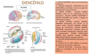 DIENCÉFALO
COMPRENDE:
1.- NÚCLEO ANTERIOR. Actúa en las emociones
y memoria.
2.- NÚCLEOS MEDIALES. PARTICIPAN EN LAS
EMOCIONES, aprendizaje, memoria y cognición
(pensamiento y conocimiento).
3.- GRUPO LATERAL: NUCLEO LATERAL
DORSAR, actúa en las expresiones de las
emociones , NUCLEO LATERAL POSTERIOR Y
NUCLEO PULVINAR que ayudan a integrar la
información sensitiva.
4.- GRUPO VENTRAL: NUCLEO VENTRAL
ANTERIOR desempeña una función en el
control motor, NUCLEO VENTRAL LATERAL
control de movimiento, NUCLEO VENTRAL
POSTERIOR sensaciones somáticas como el
tacto, cosquilleo, temperatura, vibración, dolor
y propiocepción, CUERPO GENICULADO
LATERAL lleva impulsos visuales, CUERPO
GENICULADO MEDIAL impulsos auditivos.
5.- NUCLEOS INTRALAMINARES participan en el
despertar.
6.- NUCLEO DE LA LINEA MEDIA se presume
que actúa en la memoria y olfacción.
7.- NUCLEO RETICULAR monitoriza, filtra e
integra las actividades de los otros núcleos
talámicos.
TALAMO
 