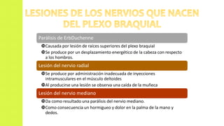 Parálisis de ErbDuchenne
Causada por lesión de raíces superiores del plexo braquial
Se produce por un desplazamiento energético de la cabeza con respecto
a los hombros.
Lesión del nervio radial
Se produce por administración inadecuada de inyecciones
intramusculares en el músculo deltoides
Al producirse una lesión se observa una caída de la muñeca
Lesión del nervio mediano
Da como resultado una parálisis del nervio mediano.
Como consecuencia un hormigueo y dolor en la palma de la mano y
dedos.
 