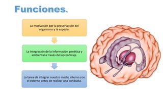 La motivación por la preservación del
organismo y la especie.
La integración de la información genética y
ambiental a través del aprendizaje.
La tarea de integrar nuestro medio interno con
el externo antes de realizar una conducta.
 