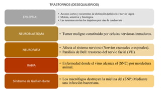 TRASTORNOS (DESEQUILIBRIOS)
• Accesos cortos y recurrentes de disfunción.(crisis en el nervio vago).
• Motora, sensitiva y fisiológica.
• Las neuronas envían los impulsos por vías de conducción
EPILEPSIA:
• Tumor maligno constituido por células nerviosas inmaduros.NEUROBLASTOMA
• Afecta al sistema nervioso (Nervios craneales o espinales).
• Parálisis de Bell: trastorno del nervio facial (VII)
NEUROPATÍA
• Los macrófagos destruyen la mielina del (SNP) Mediante
una infección bacteriana.
Síndrome de Guillain-Barre
• Enfermedad donde el virus alcanza el (SNC) por mordedura
animal.
RABIA
 