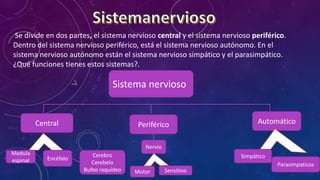 Se divide en dos partes, el sistema nervioso central y el sistema nervioso periférico.
Dentro del sistema nervioso periférico, está el sistema nervioso autónomo. En el
sistema nervioso autónomo están el sistema nervioso simpático y el parasimpático.
¿Qué funciones tienes estos sistemas?.
Sistema nervioso
.
Central Periférico Automático
Encéfalo
Medula
espinal
Cerebro
Cerebelo
Bulbo raquídeo
Nervio
Motor Sensitivo
Simpático
Parasimpaticos
 
