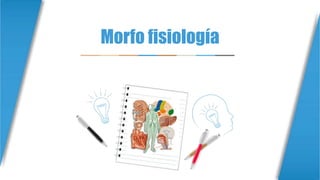 Morfo fisiología
 