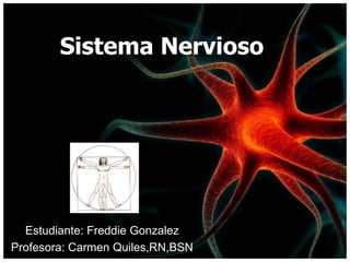 Sistema Nervioso
Estudiante: Freddie Gonzalez
Profesora: Carmen Quiles,RN,BSN
 