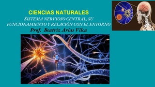 CIENCIAS NATURALES
SISTEMA NERVIOSO CENTRAL, SU
FUNCIONAMIENTO Y RELACIÓN CON EL ENTORNO
Prof. Beatriz Arias Vilca
 