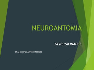 NEUROANTOMIA
GENERALIDADES
DR. JHONNY UGARTECHE TORRICO
 