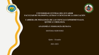 UNIVERSIDAD CENTRAL DEL ECUADOR
FACULTAD DE FILOSOFÍA, LETRAS Y CIENCIAS DE LA EDUCACIÓN
CARRERA DE PEDAGOGÍA DE LAS CIENCIAS EXPERIMENTALES,
QUÍMICA Y BIOLOGÍA
ANATOMÍA Y FISIOLOGÍA HUMANA
SISTEMA NERVIOSO
Quito – Ecuador
2021-2021
 