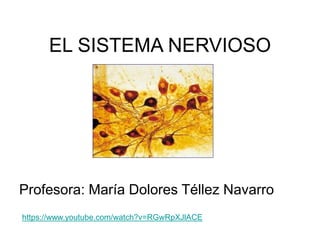 EL SISTEMA NERVIOSO
Profesora: María Dolores Téllez Navarro
https://www.youtube.com/watch?v=RGwRpXJlACE
 