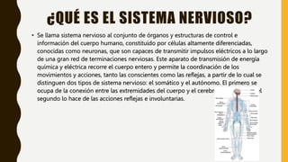 ¿QUÉ ES EL SISTEMA NERVIOSO?
• Se llama sistema nervioso al conjunto de órganos y estructuras de control e
información del...
