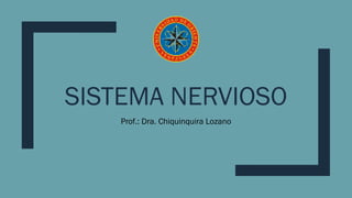 SISTEMA NERVIOSO
Prof.: Dra. Chiquinquira Lozano
 