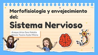Araque Ariza Sara Natalia
Nieves Tavera Ayda Milena
Morfofisiología y envejecimiento
del:
Sistema Nervioso
 