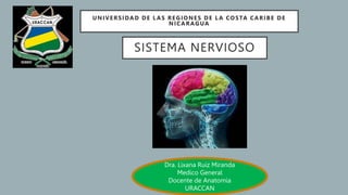SISTEMA NERVIOSO
Dra. Lixana Ruiz Miranda
Medico General
Docente de Anatomía
URACCAN
UNIVERSIDAD DE LAS REGIONES DE LA COSTA CARIBE DE
NICARAGUA
 
