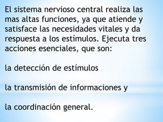 El sistema nervioso central realiza las
mas altas funciones, ya que atiende y
satisface las necesidades vitales y da
respuesta a los estímulos. Ejecuta tres
acciones esenciales, que son:
la detección de estímulos
la transmisión de informaciones y
la coordinación general.
 