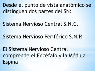 Desde el punto de vista anatómico se
distinguen dos partes del SN:
Sistema Nervioso Central S.N.C.
Sistema Nervioso Periférico S.N.P.
El Sistema Nervioso Central
comprende el Encéfalo y la Médula
Espina
 