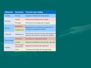 Sistema nervioso 3 eso.ppt