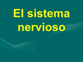 El sistema
nervioso
 