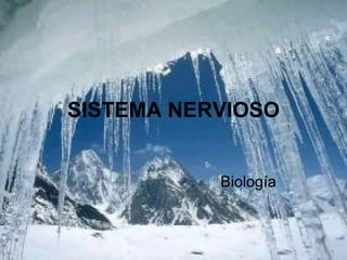 SISTEMA NERVIOSO Biología 