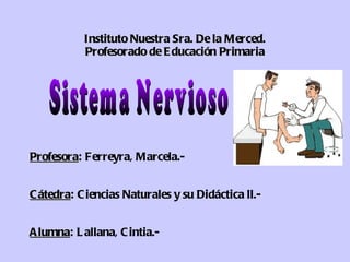 Instituto Nuestra Sra. De la Merced. Profesorado de Educación Primaria ,[object Object],[object Object],[object Object],Sistema Nervioso 