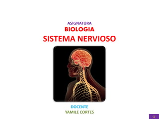 ASIGNATURA
BIOLOGIA
SISTEMA NERVIOSO
DOCENTE
YAMILE CORTES
1
 