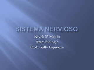 Nivel: 3° Medio
   Área: Biología
Prof.: Sully Espinoza
 