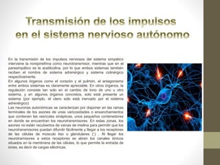 En la transmisión de los impulsos nerviosos del sistema simpático
interviene la norepinefrina como neurotransmisor, mientras que en el
parasimpático es la acetilcolina, por lo que ambos sistemas también
reciben el nombre de sistema adrenérgico y sistema colinérgico
respectivamente.
En algunos órganos como el corazón y el pulmón, el antagonismo
entre ambos sistemas es claramente apreciable. En otros órganos, la
regulación consiste tan solo en el cambio de tono de uno u otro
sistema, y en algunos órganos concretos, solo está presente un
sistema (por ejemplo, el útero solo está inervado por el sistema
adrenérgico)
Las neuronas autonómicas se caracterizan por disponer en las ramas
terminales de los axones de unas varicosidades o ensanchamientos
que contienen las vesículas sinápticas, unos pequeños contenedores
en donde se encuentran los neurotransmisores. En estas zonas, los
axones no están recubiertos de vainas de mielina para permitir que los
neurotransmisores puedan difundir fácilmente y llegar a los receptores
de las células de músculo liso o glandulares (*) . Al llegar los
neurotramisores a estos receptores se abren los canales iónicos
situados en la membrana de las células, lo que permite la entrada de
iones, es decir de cargas eléctricas.
 