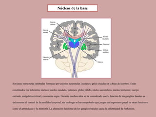 Son unas estructuras cerebrales formadas por cuerpos neuronales (sustancia gris) situadas en la base del cerebro. Están
constituidos por diferentes núcleos: núcleo caudado, putamen, globo pálido, núcleo accumbens, núcleo lenticular, cuerpo
estriado, amígdala cerebral y sustancia negra. Durante muchos años se ha considerado que la función de los ganglios basales es
únicamente el control de la motilidad corporal, sin embargo se ha comprobado que juegan un importante papel en otras funciones
como el aprendizaje y la memoria. La alteración funcional de los ganglios basales causa la enfermedad de Parkinson.
Núcleos de la base
 