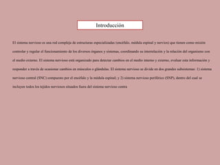 El sistema nervioso es una red compleja de estructuras especializadas (encéfalo, médula espinal y nervios) que tienen como misión
controlar y regular el funcionamiento de los diversos órganos y sistemas, coordinando su interrelación y la relación del organismo con
el medio externo. El sistema nervioso está organizado para detectar cambios en el medio interno y externo, evaluar esta información y
responder a través de ocasionar cambios en músculos o glándulas. El sistema nervioso se divide en dos grandes subsistemas: 1) sistema
nervioso central (SNC) compuesto por el encéfalo y la médula espinal; y 2) sistema nervioso periférico (SNP), dentro del cual se
incluyen todos los tejidos nerviosos situados fuera del sistema nervioso centra
Introducción
 