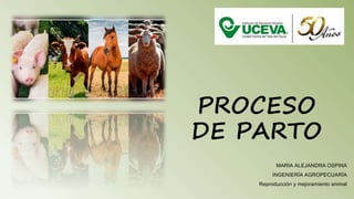 PROCESO
DE PARTO
MARIA ALEJANDRA OSPINA
INGENIERÍA AGROPECUARÍA
Reproducción y mejoramiento animal
 