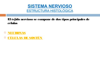 SISTEMA NERVIOSO
                 ESTRUCTURA HISTOLÓGICA

    El tejido nervioso se compone de dos tipos principales de
    células

   NEURONAS
   CÉLULAS DE SOSTÉN
 