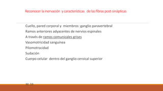 Reconocer la inervación y características de las fibras post-sinápticas 
Cuello, pared corporal y miembros: ganglio paravertebral 
Ramos anteriores adyacentes de nervios espinales 
A través de ramos comunicales grises 
Vasomotricidad sanguínea 
Pilomotrocidad 
Sudación 
Cuerpo celular dentro del ganglio cervical superior 
M. 59 
 