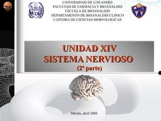 UNIDAD XIVUNIDAD XIV
SISTEMA NERVIOSOSISTEMA NERVIOSO
(2ª parte)(2ª parte)
UNIDAD XIVUNIDAD XIV
SISTEMA NERVIOSOSISTEMA NERVIOSO
(2ª parte)(2ª parte)
UNIVERSIDAD DE LOS ANDES
FACULTAD DE FARMACIA Y BIOANALISIS
ESCUELA DE BIOANALISIS
DEPARTAMENTO DE BIOANALISIS CLINICO
CATEDRA DE CIENCIAS MORFOLOGICAS
Mérida, abril 2008
 