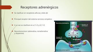 Receptores adrenérgicos
 Se clasifican en receptores alfa (α) y beta (β)
 Principal receptor del sistema nervioso simpático
 A su vez se clasifican en a (1-2) y β (1-2)
 Neurotransmisor (adrenalina, noradrenalina
y dopamina)
 